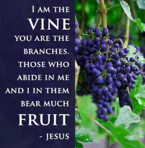 fruitfulness-in-christ-john-15-vs-5